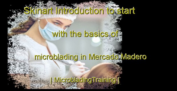 Skinart Introduction to start with the basics of microblading in Mercado Madero | MicrobladingTraining | MicrobladingClasses | SkinartTraining-Mexico